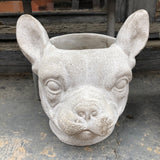 Maceta perro dogo