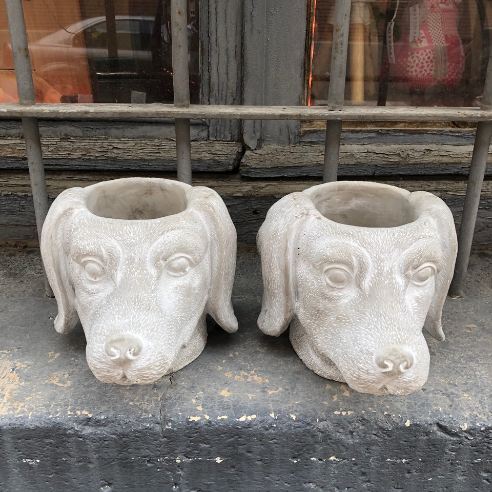 Maceta perro salchicha