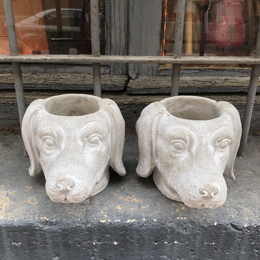 Maceta perro salchicha