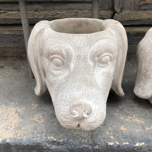 Maceta perro salchicha
