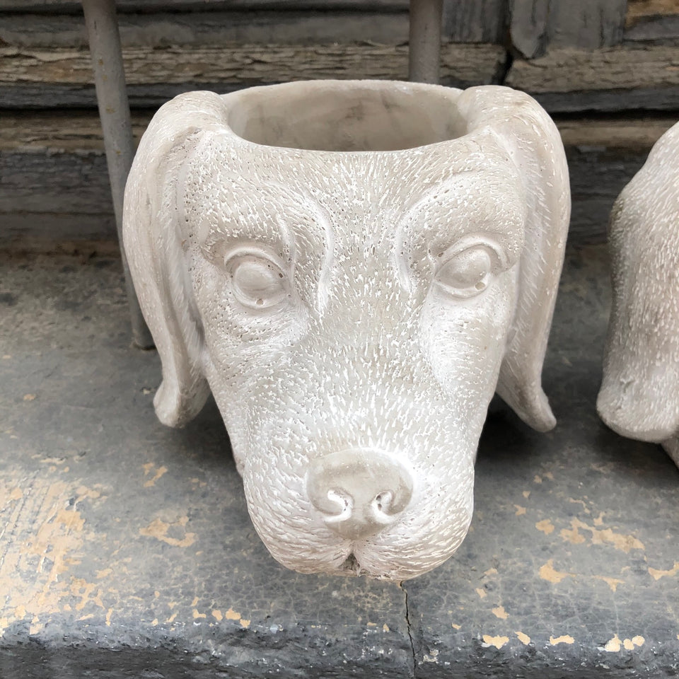 Maceta perro salchicha
