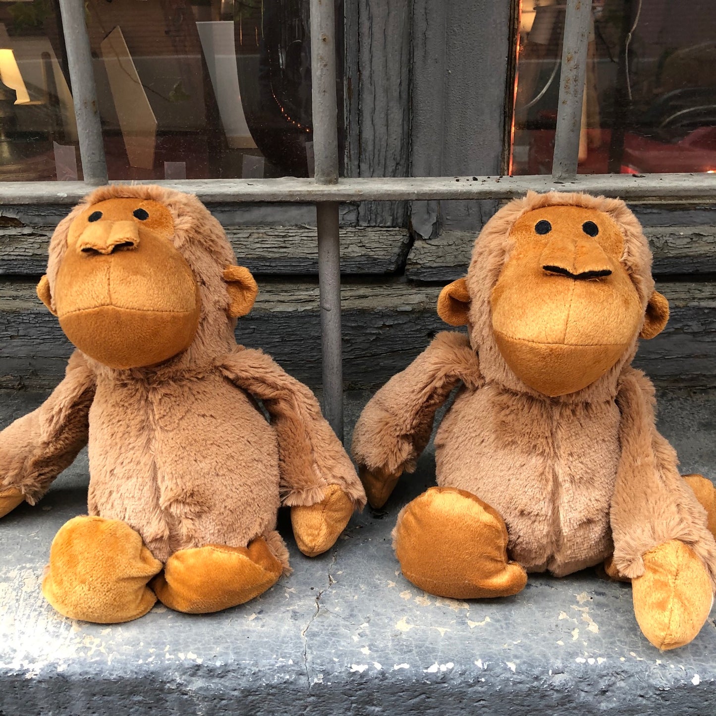 Sujeta puertas orangutan