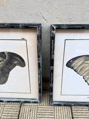 Cuadro Mariposa 60x45 cm