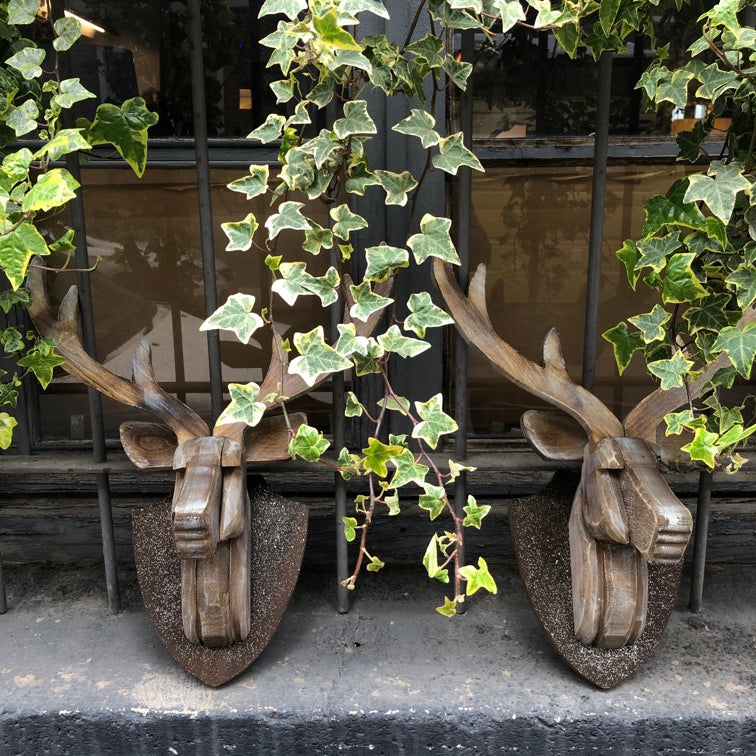 Cabeza de Venado
