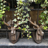 Cabeza de Venado