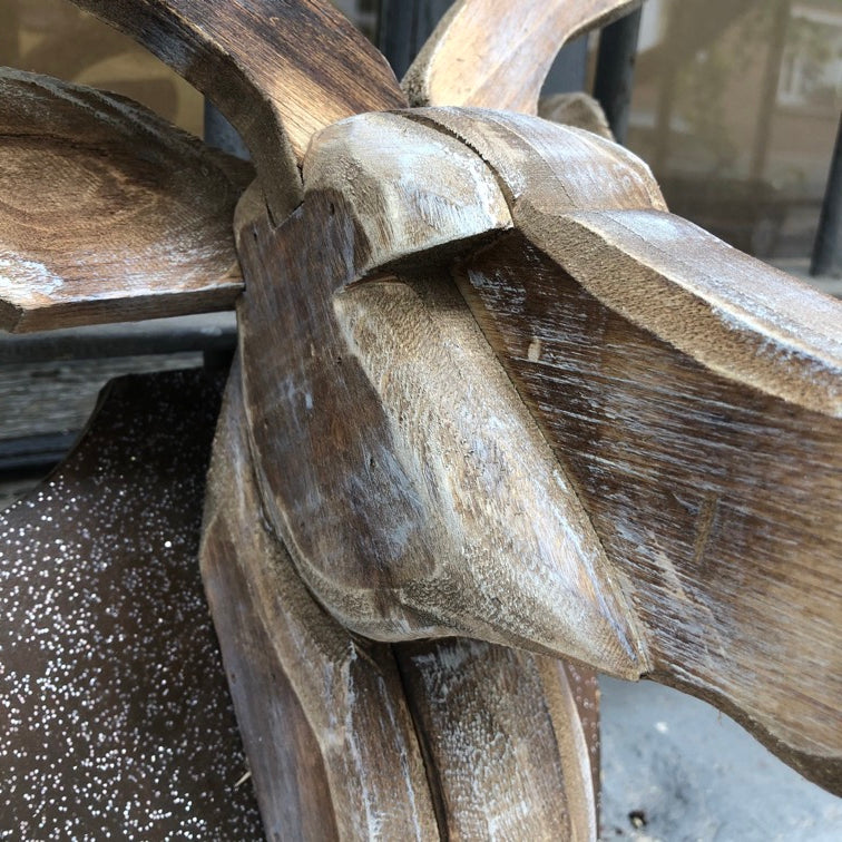 Cabeza de Venado