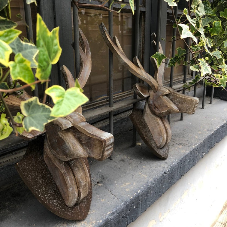 Cabeza de Venado