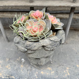 Busto clásico con flores