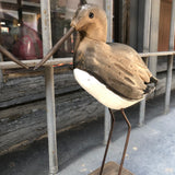 Cigüeña de madera